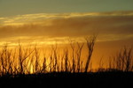 AMANECER EN EL PARANA GUAZ� - ISLA BOTIJA Y PUERTO CONTANZA