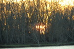 AMANECER EN EL PARANA GUAZ� - ISLA BOTIJA Y PUERTO CONTANZA