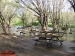 SECTOR CAMPING  Y PARRILLAS