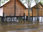 SECTOR DE CABA�AS