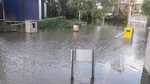 CLUB NAUTICO NORTE CAMPANA