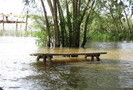 CRECIENTES E INUNDACIONES:
 Contiene 3 Galer�as
